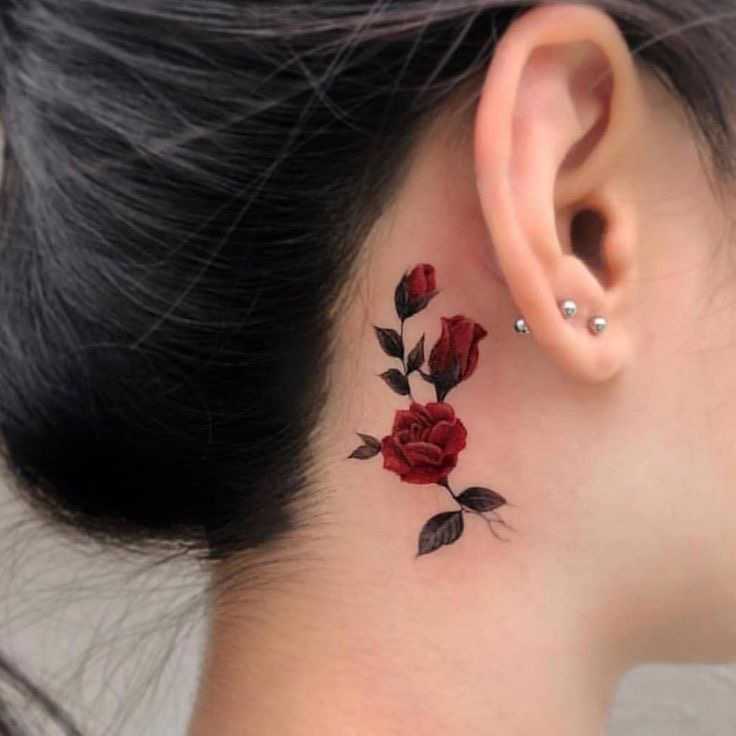 Rose tattoos designs behind the ears