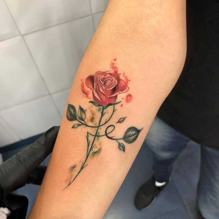 rose tattoos for forearms