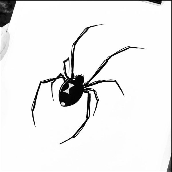 black widow spider tattoo drawing