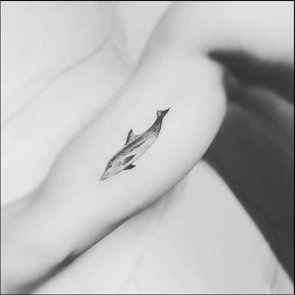 dolphin tattoos inner arm
