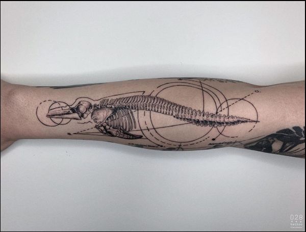dolphin skeleton tattoos