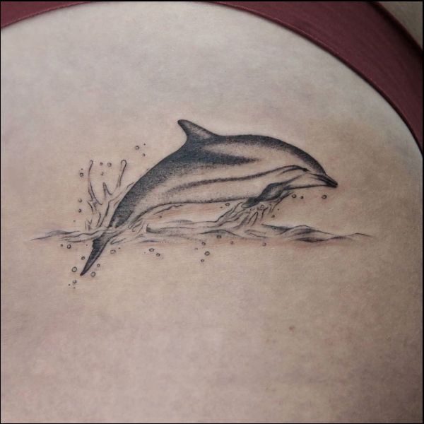 dolphins tattoos gallery