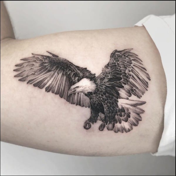 Eagle tattoos inner arm