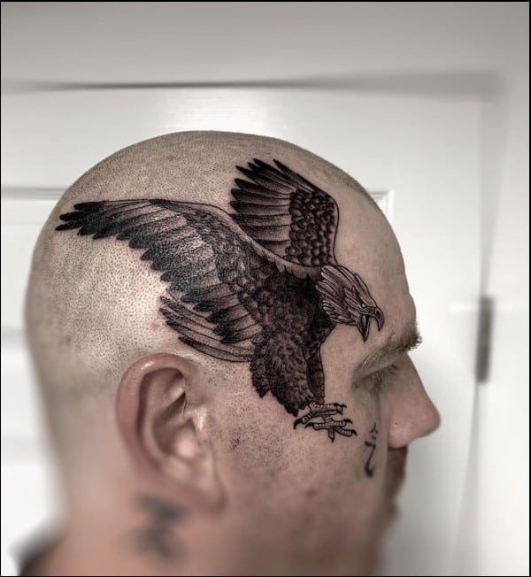 Eagle tattoos on head