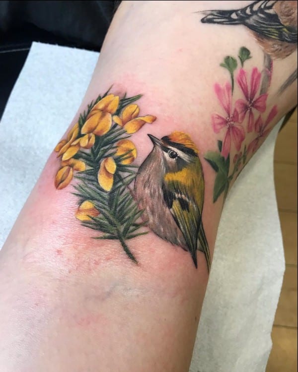bird tattoos on arm