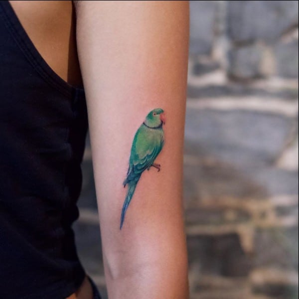 parrot tattoos