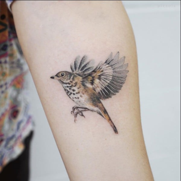 flying sparrow tattoos