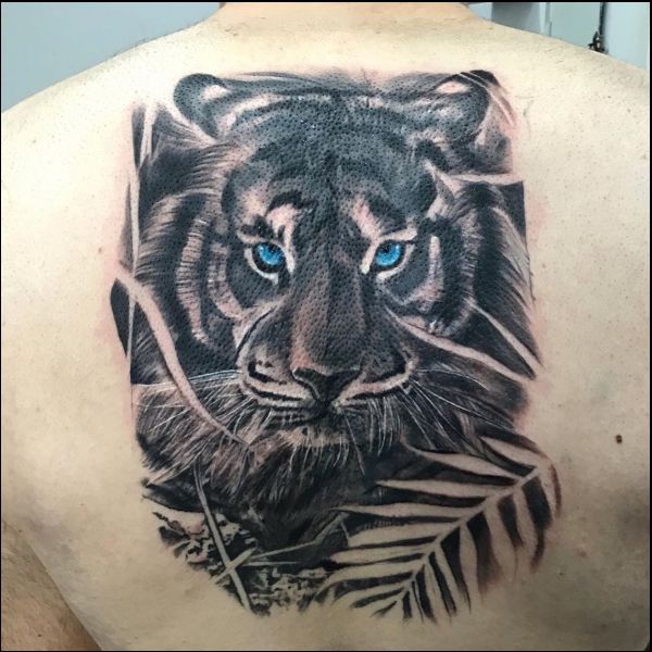 back tattoos tiger