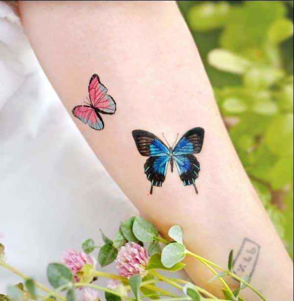 butterfly tattoos pinterest