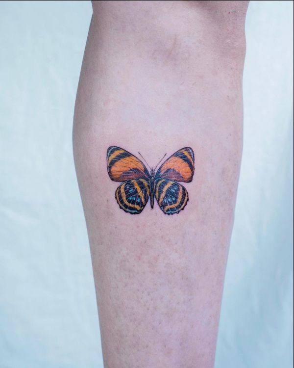 butterfly tattoos color