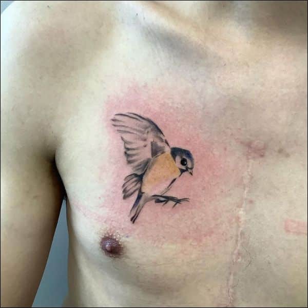 birds chest tattoos