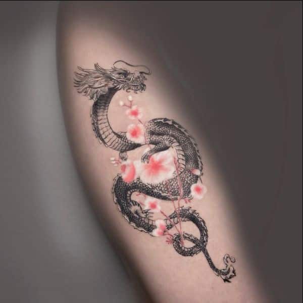 dragon tattoos bideford