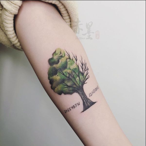 the meaning of tree tattoos
