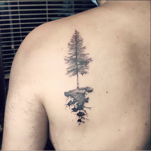 spruce tree tattoos