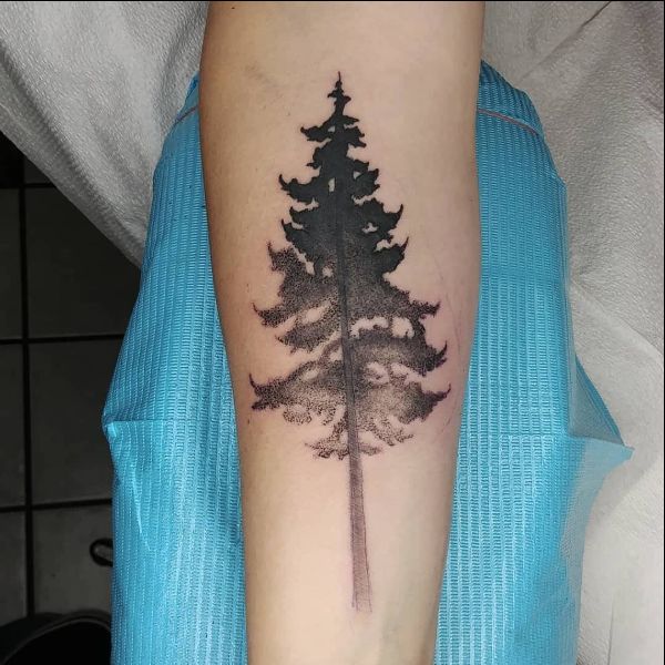 tree of life tattoos