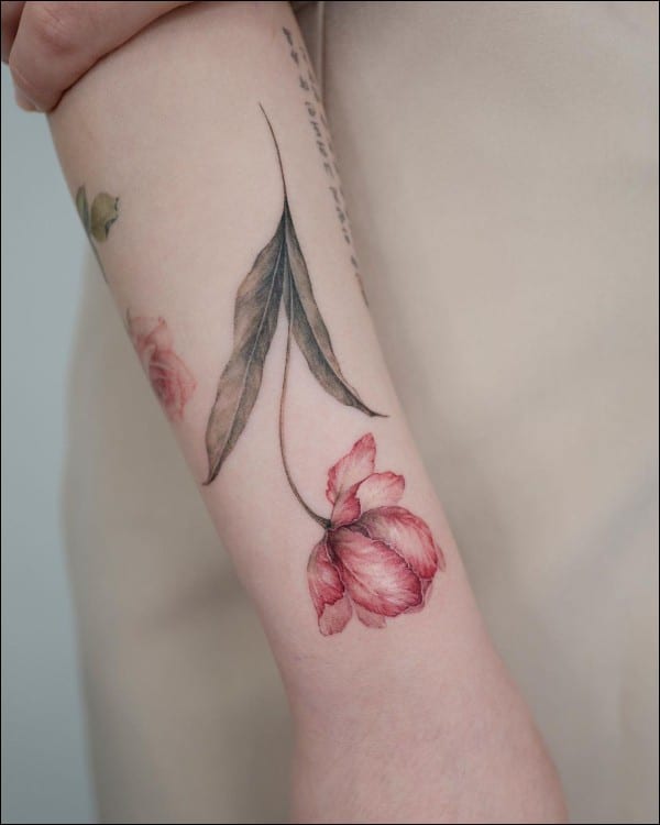 poppy flower tattoos on arm