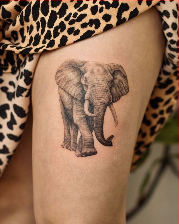 elephant tattoos and designs