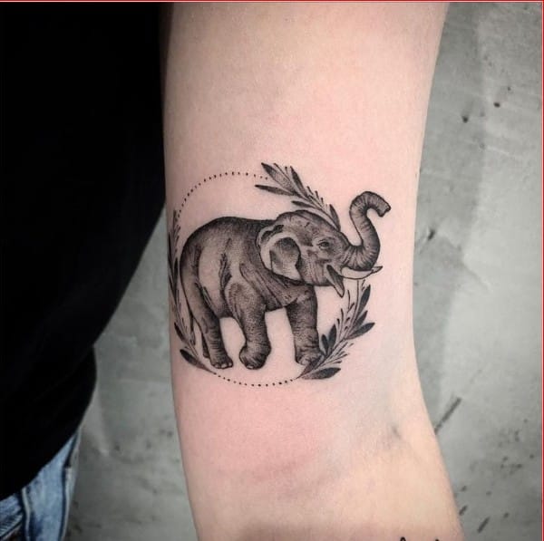 elephant tattoos on forearm