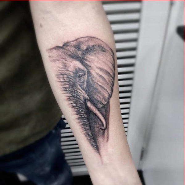 cool elephant tattoos for guys