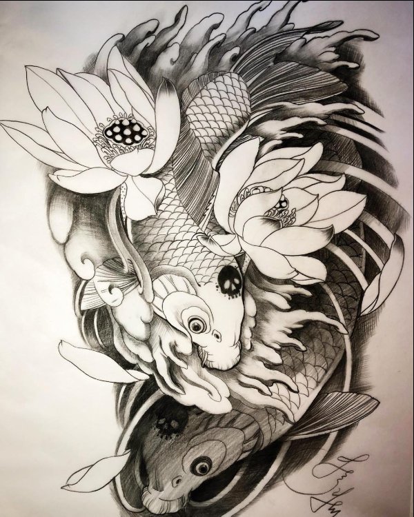 koi fish tattoos lotus flower drawing