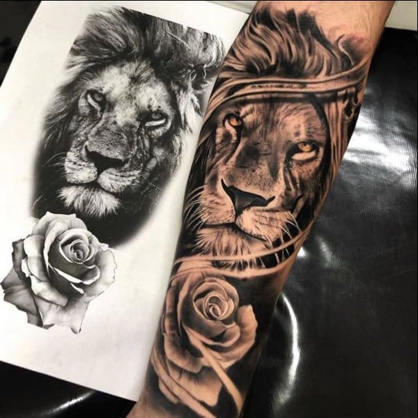lion rose tattoos