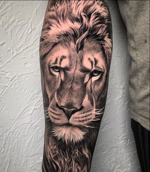 lion tattoos forearm