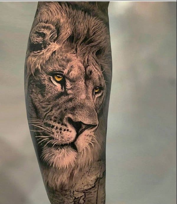 lion tattoo inside arm
