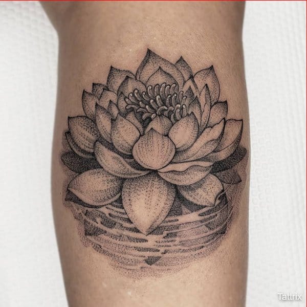 black and grey lotus tattoos