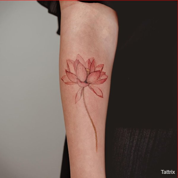 lotus flower tattoos meaning