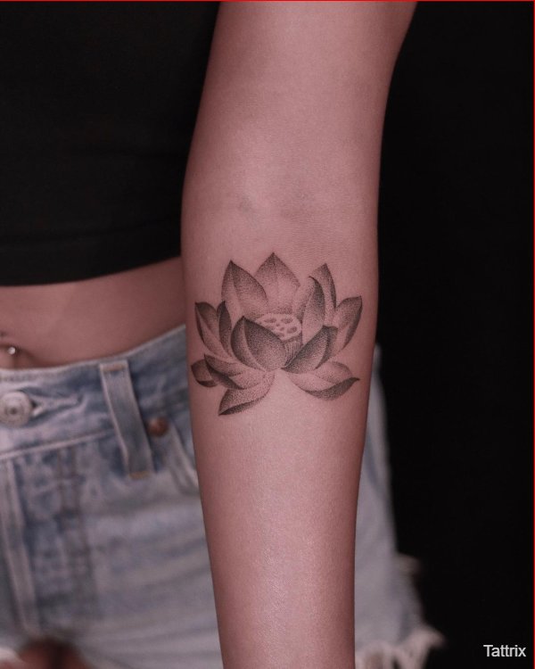 Lotus 🪷 and 5 koi fish 😉 Shoulder + back of upper arm piece in  traditional Asian style- tattoos done with this technique age super... |  Instagram