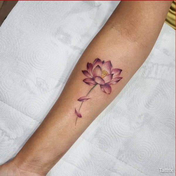 pink color lotus tattoo designs