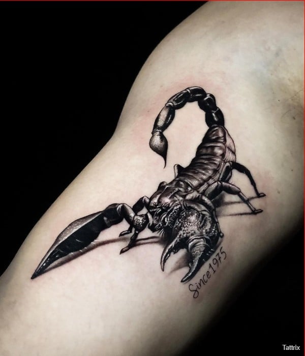 3d scorpion arm tattoos