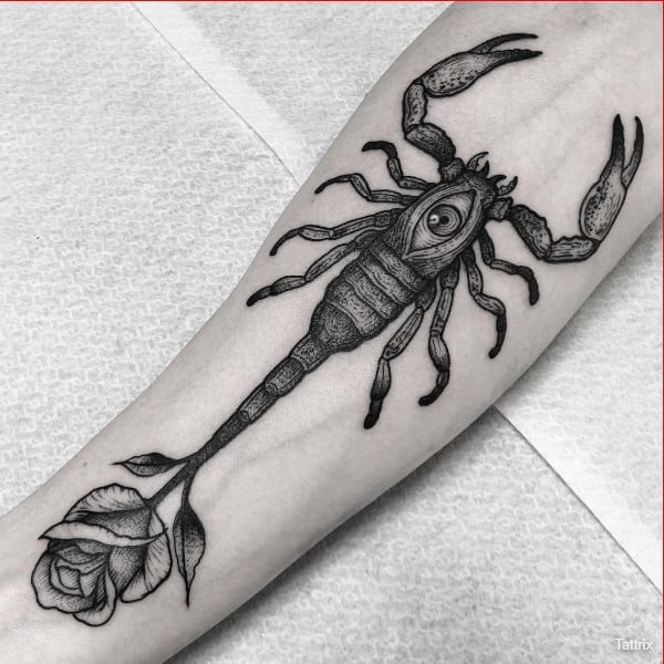 best scorpio tattoos for arm
