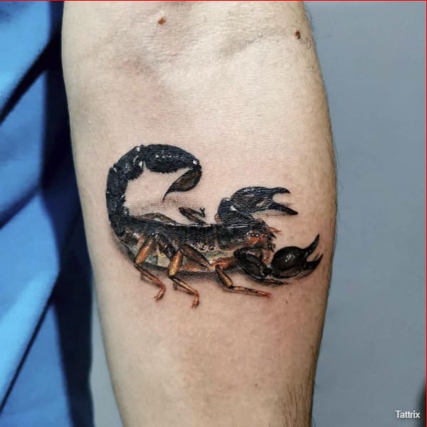 scorpion tattoo on hand meaning