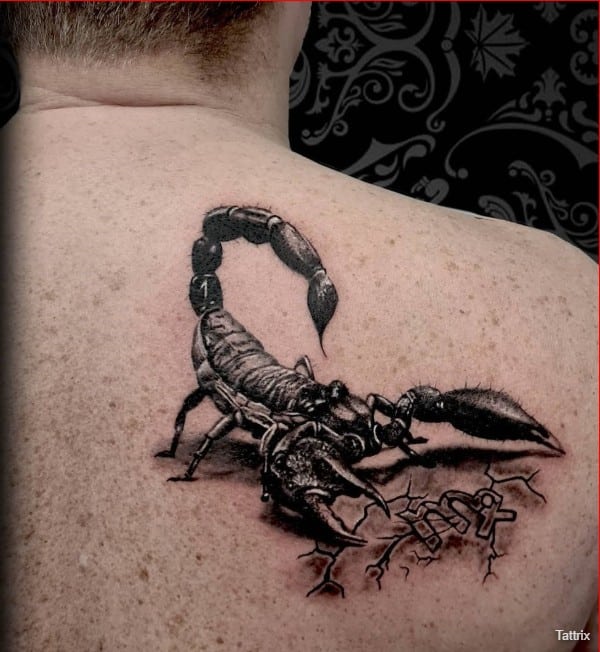 scorpion tattoo on back