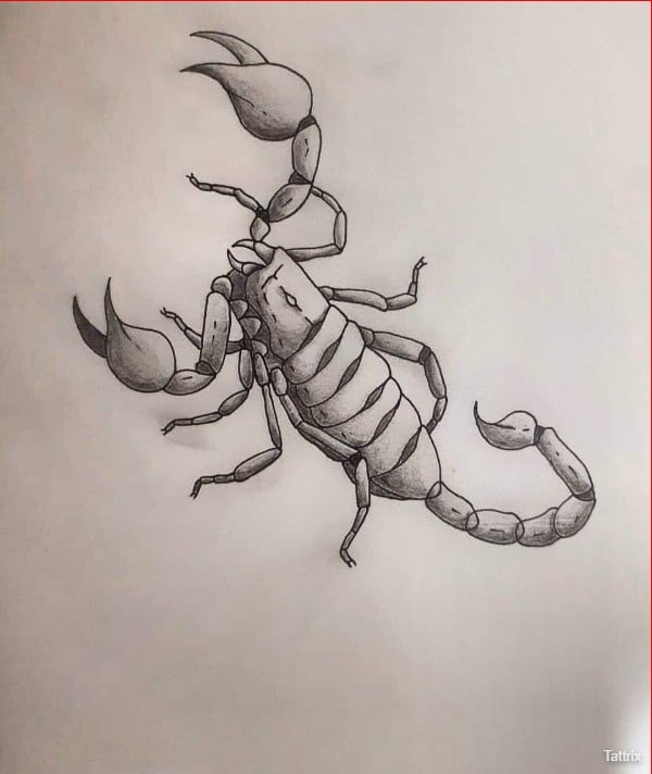scorpion tattoo stencils