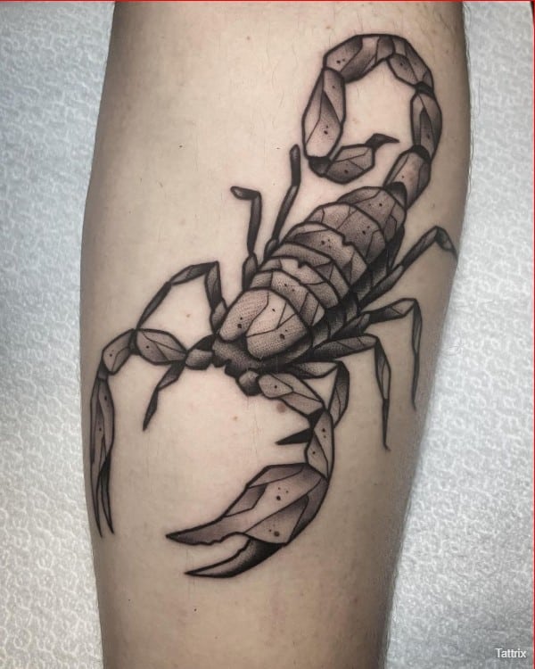 realistic scorpion tattoo