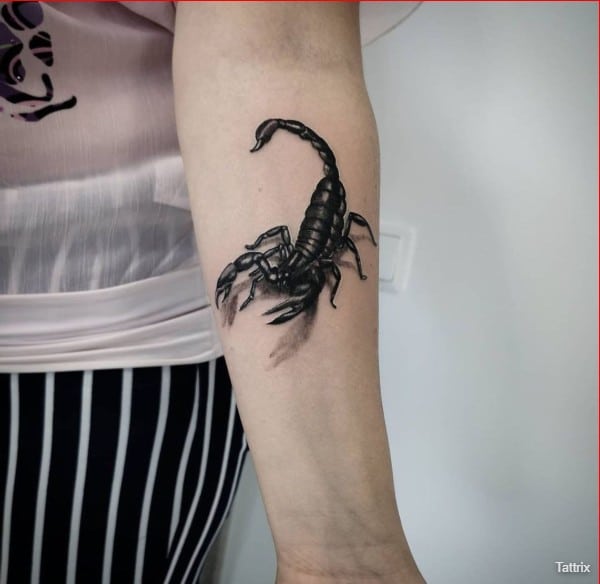 realistic scorpion tattoo