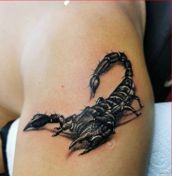 zodiac scorpio tattoos designs