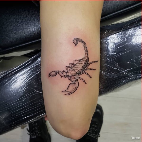 scorpion tattoo on hand