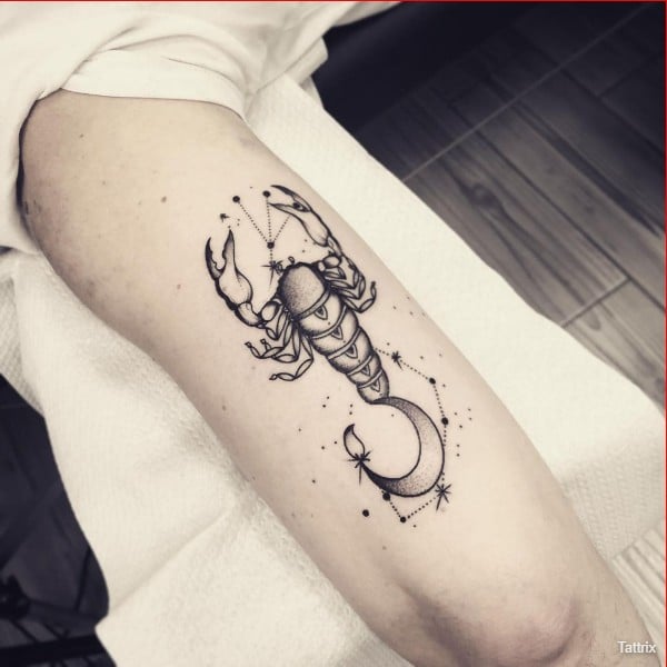 scorpion tattoo for females