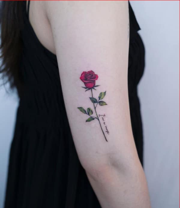 cute rose tattoos for arm