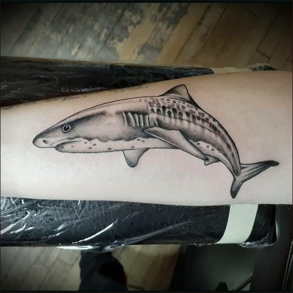 white shark tattoos for men