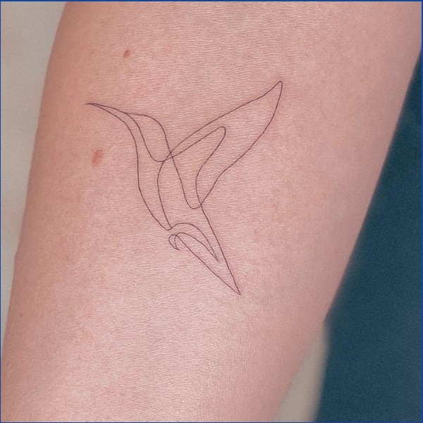 hummingbird tattoo outline