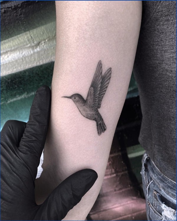 hummingbird tattoos images