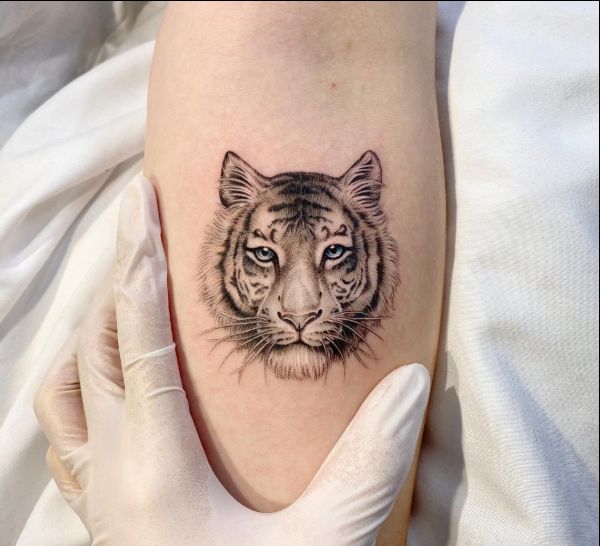 10 Best Tiger Tattoo Ideas Best Ideas for Tiger Tattoos  MrInkwells