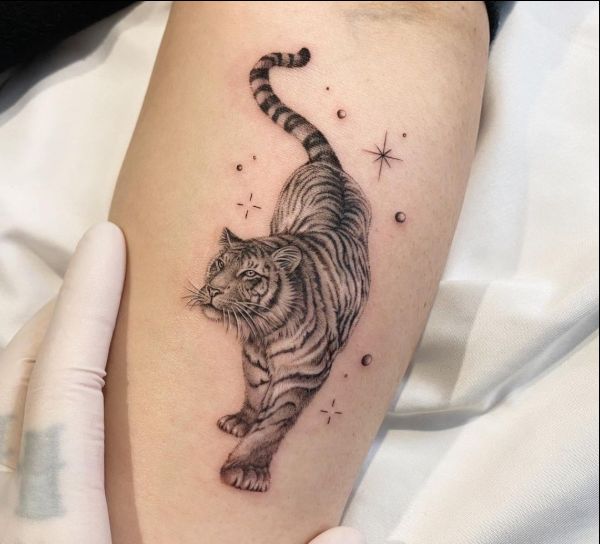 full tiger tattoos with tail