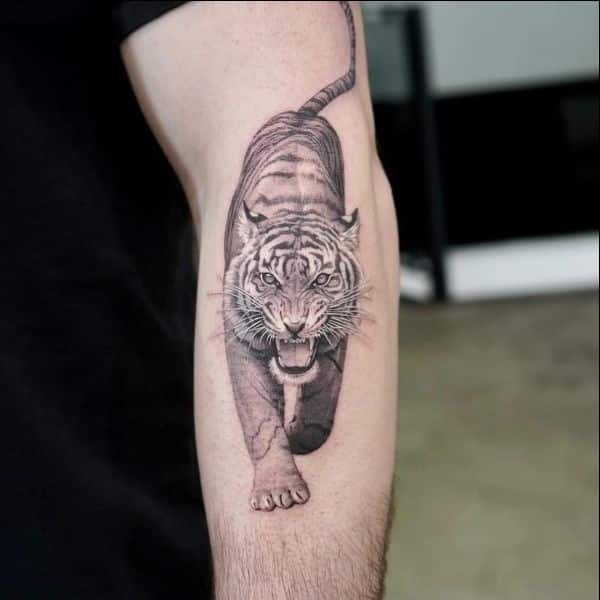 tiger tattoos edlington