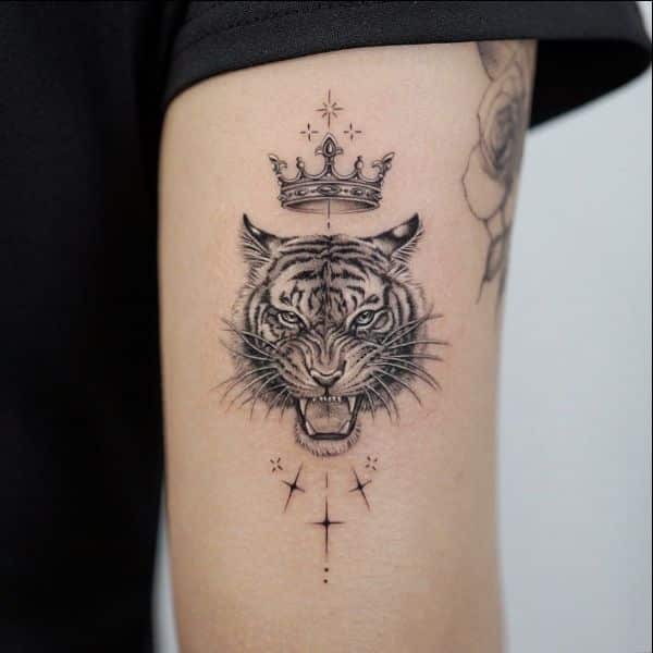 tiger tattoos crown