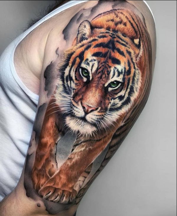 tiger tattoo colourful